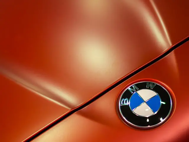 Doporučení pro použití a využití logo BMW v podnikání