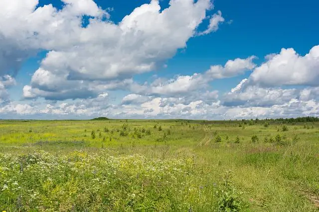 3. Prostornost a komfort: Maximální pohodlí pro řidiče i spolucestující