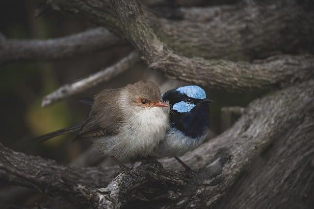 1. Aby se váš Superb udržel v optimálním stavu, zjistěte přesné množství oleje potřebného pro výměnu